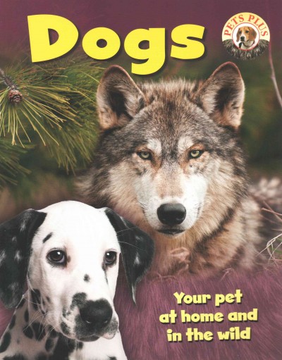 Dogs : your pet at home and in the wild / Sally Morgan.