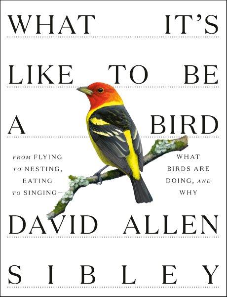 What it's like to be a bird : from flying to nesting, eating to singing -- what birds are doing, and why / written and illustrated by David Allen Sibley.