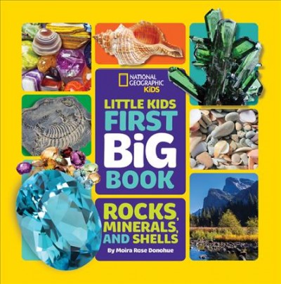 Little kids first big book : rocks, minerals, and shells / Moira Rose Donohue.