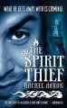 Go to record The spirit thief