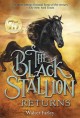 Go to record The black stallion returns