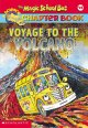 Go to record Magic School Bus : Voyage to the Volcano.