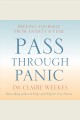 Pass through panic [freeing yourself from anxiety & fear]  Cover Image