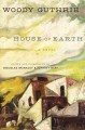 House of earth : a novel  Cover Image