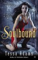 Go to record Soulbound : a Lone Star witch novel [book 1]