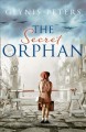 Go to record The secret orphan