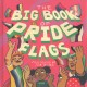 Go to record The big book of pride flags