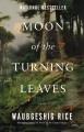 Moon of the turning leaves : a novel  Cover Image