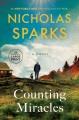 Counting miracles a novel  Cover Image