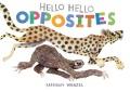 Hello hello opposites  Cover Image